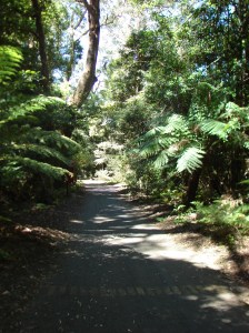 2006-01-01 02.05.20 - Copy - Copy - Copy