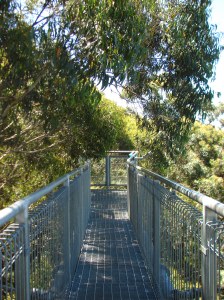 2006-01-01 02.31.22 - Copy - Copy